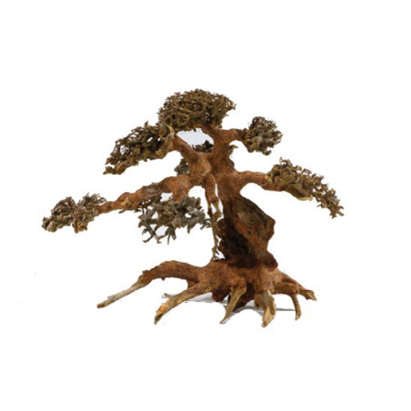 Bonsai træ til nano akvarier