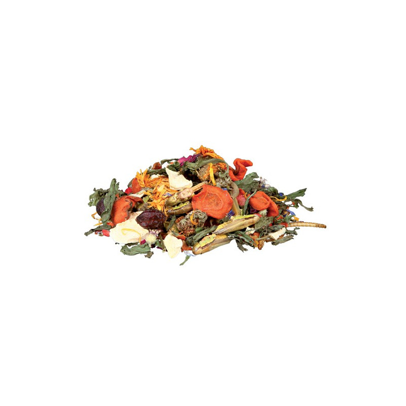 Natural food mixture for bearded dragons, 100 g