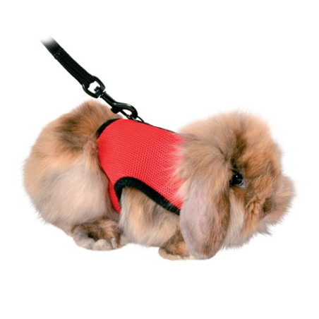 Soft sele t /Marsvin 18-25cm