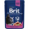 Brit Premium Cat Pouches med Laks & Ørred 100g
