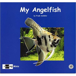 AQUALOG Mini - My Angelfish