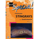 AQUALOG Special: Freshwater Stingrays from South America
