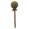 Matatabi Lolly