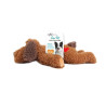 Dog anti anxiety plush buddy