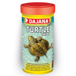 Turtle Chips