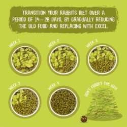 Burgess Excel Adult Rabbit Nuggets with Mint 2kg