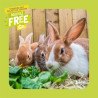 Burgess Excel Adult Rabbit Nuggets with Mint 2kg