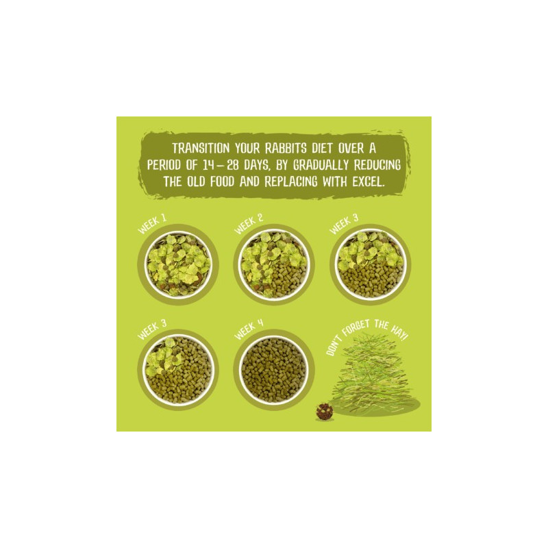 Burgess Nuggets Per Conigli Adulti Con Menta - 3 Kg, Alimento Completo Per Rabbit - Foto 7