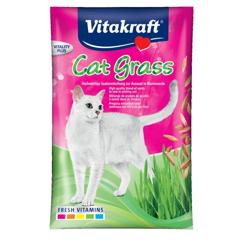 kattegræs i brev 50g